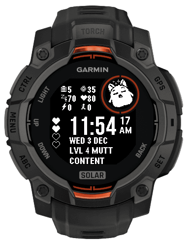 Garmin Watch